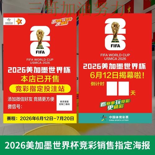 世界杯投注实测对比总结：入口在哪关键点解析（World Cup 2026）